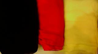 IMG_20121127_163152-1.jpg